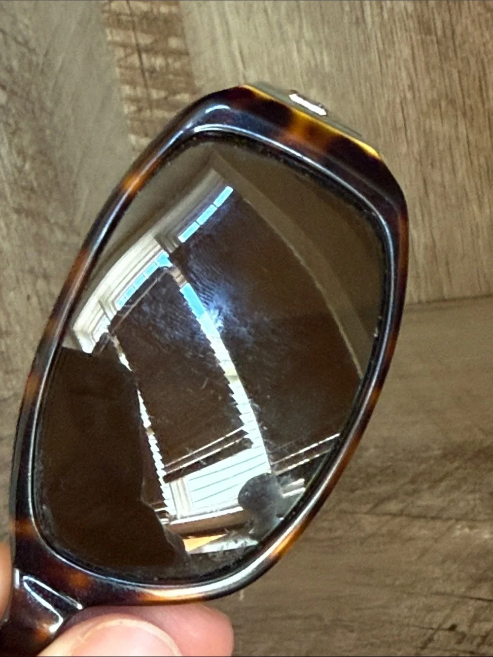 Kate Spade Paxton Sunglasses Teal Tortoise